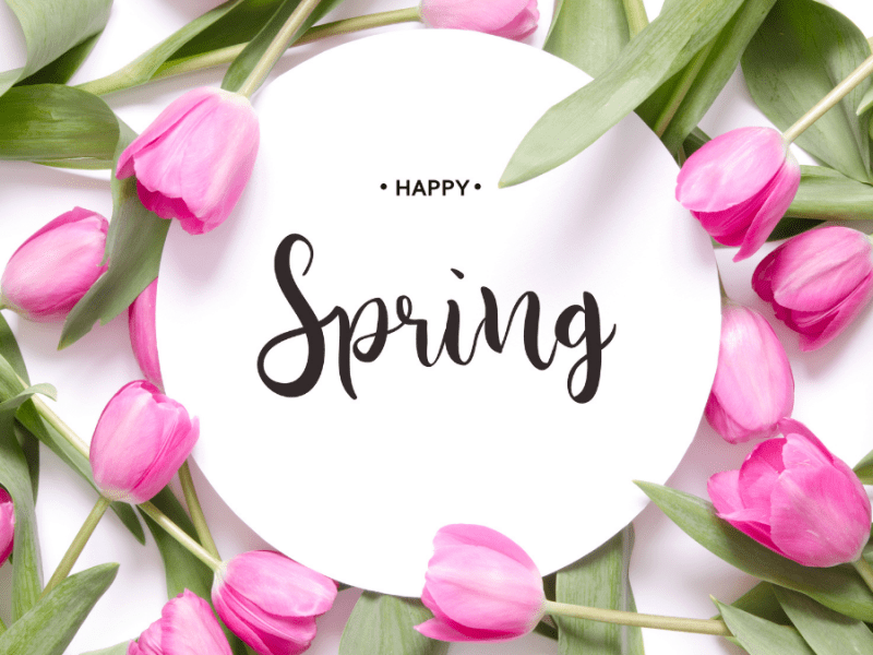 Spring Produce and Recipes