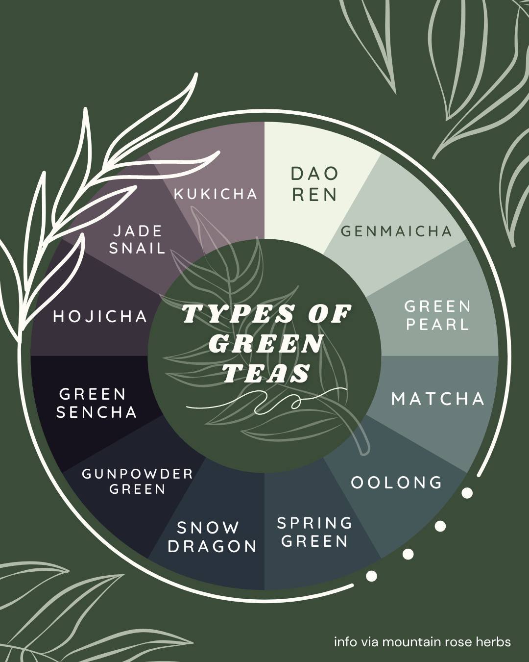 🌿A sampling of green teas -> click through to see some of my personal faves! ⁠