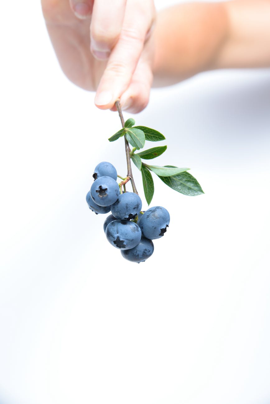 Blueberry Nice Cream | Recipe – Vegan